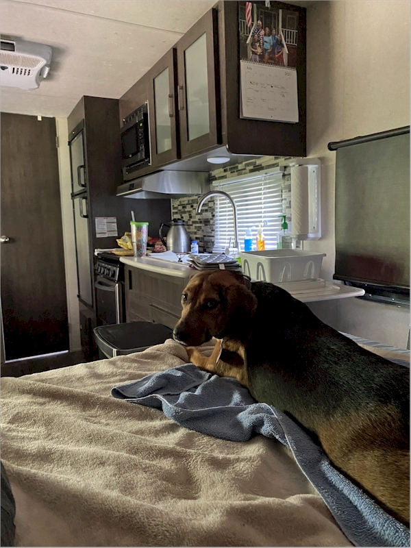 The bed in the old camper was very comfortable.  I got an extra towel that was comfy because I'd just had a bath.  Rickwood Caverns State Park, July 7, 2021.