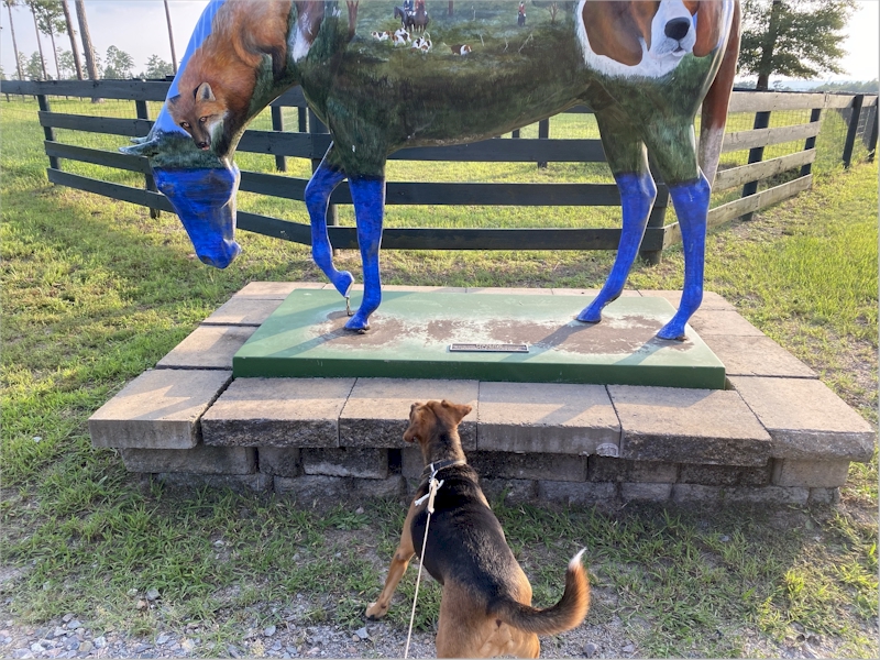 I thought this was a real horse and was really scared of it, but when I got close I found out it was really a statue.  Too bad all statues look like horses!  At least this one has a picture of a doggo on its butt.  Stable View, Aiken SC, July 20, 2021.