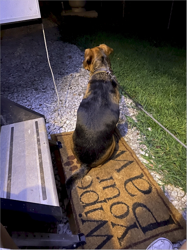 I'm always on the lookout for those nasty-ass squirrels, even at night! Stable View, Aiken SC, July 20, 2021.