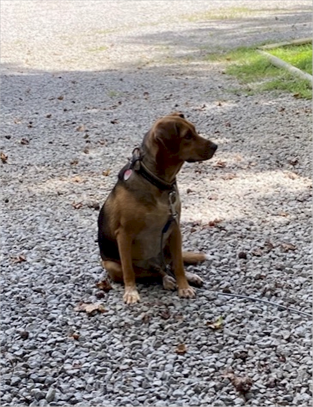 BORED at Rickwood Caverns State Park. August 17, 2021.