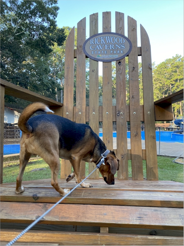 I sure would hate to meet the scary human they built this huge chair for! November 1, 2021.