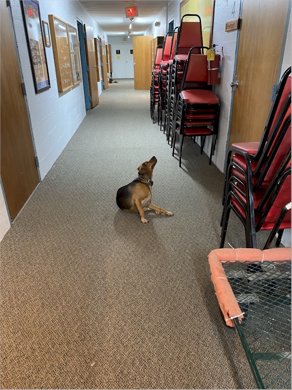 My human took me to the William Holland Retreat in Young Harris, Georgia.  There were two really nice twin girl humans that fussed over me a LOT! November 30, 2021.