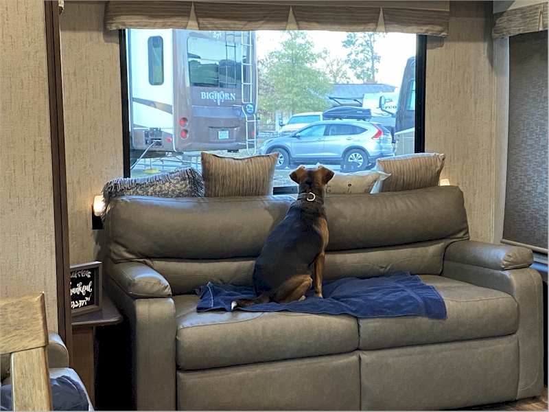 My human doesn't remember where or when this photo was taken, but I'm in the new big camper on the comfy sofa.