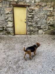 They had this building made of ROCKS!  Who does that?  Rickwood Caverns State Park, July 7, 2021.