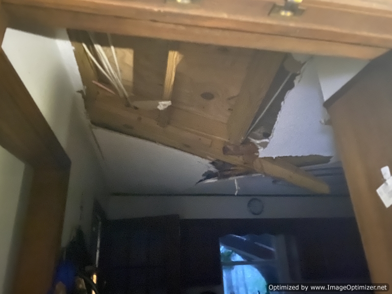 Bye-bye kitchen ceiling!  You can see the tree out the window.