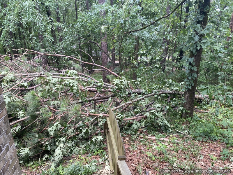 A second tree took out part of the backyard fence.