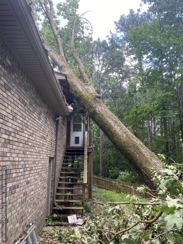 I was sitting on the porch less than ten feet away from where the tree hit.