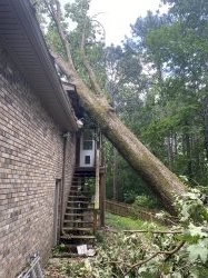 I was sitting on the porch less than ten feet away from where the tree hit.