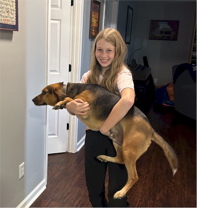 My grandhuman Claire loves me.  But she's always gotta carry me around somewhere.