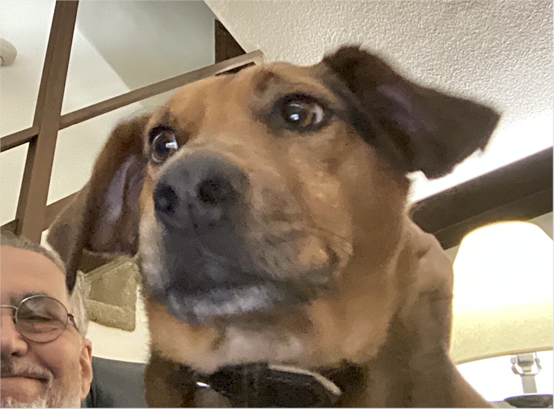 Do I look goofy in this photo or what?