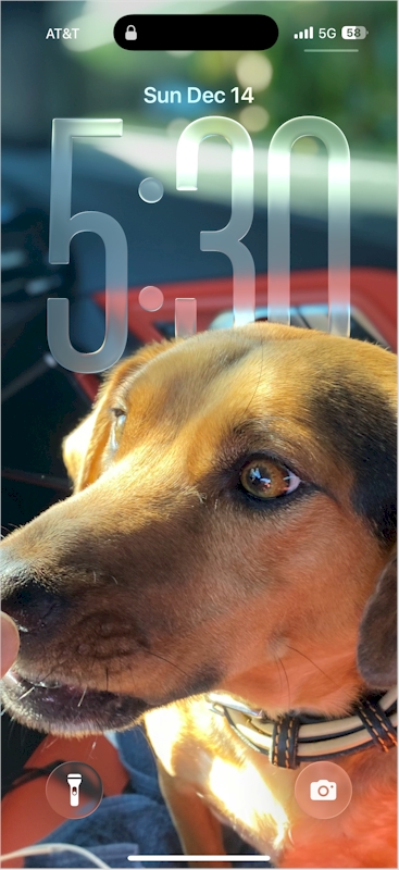 My human always keeps me on the phone.