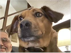 Do I look goofy in this photo or what?