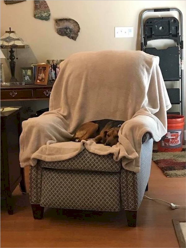 My human let me sleep on this comfy blanket when my chair cover was in the wash.  Sweet.